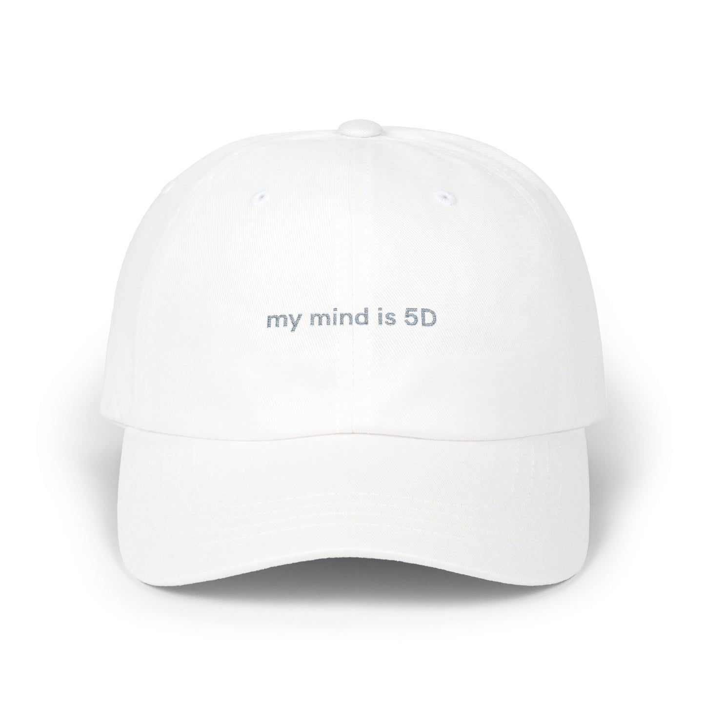 "My mind is 5D" hat